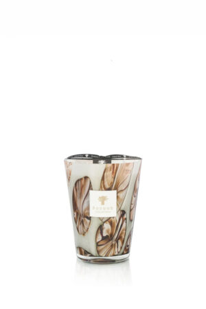 BAOBAB Bougie ANANGU Max 24 Oceania