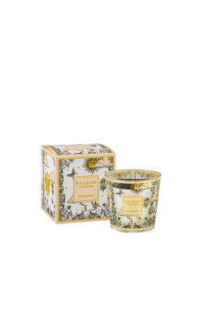 BAOBAB Diffuseur TOMMOROWLAND 250Ml My First Baobab