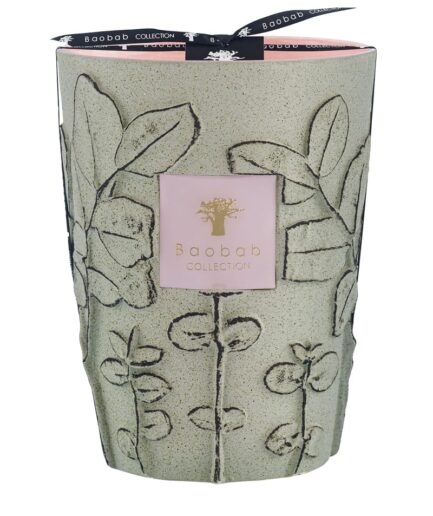 BAOBAB Bougie MAQUIS Max 24 Folia