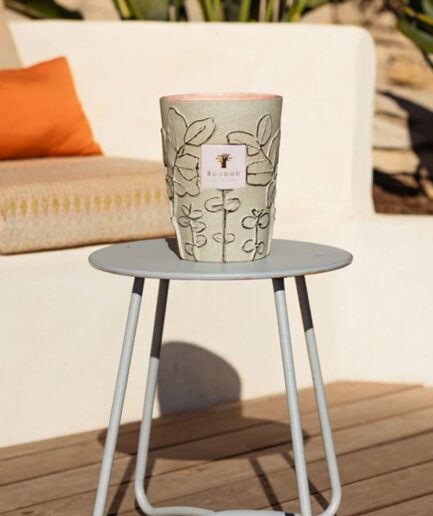 BAOBAB Bougie MAQUIS Max 24 Folia