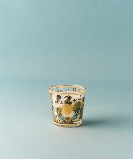 BAOBAB Bougie TOMORROWLAND 26 Max 08 My First Baobab